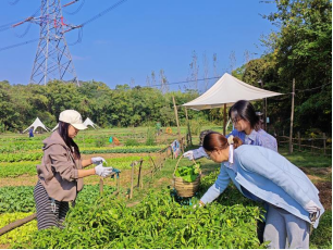 pg电子试玩