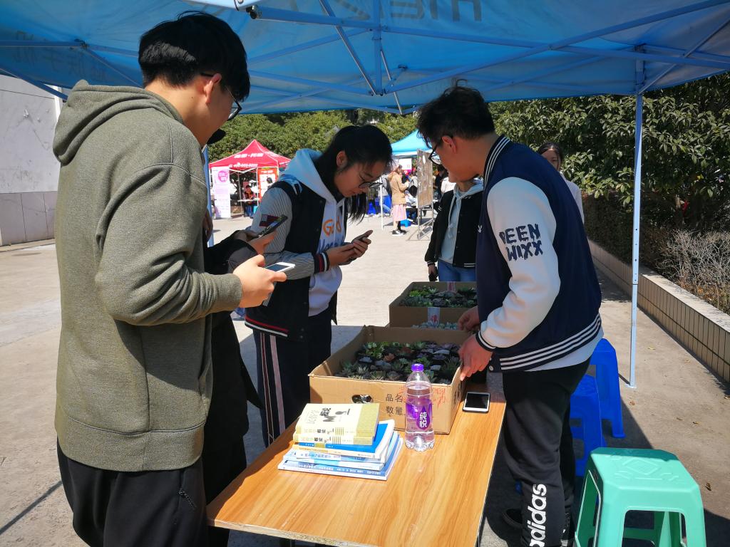 pg电子试玩