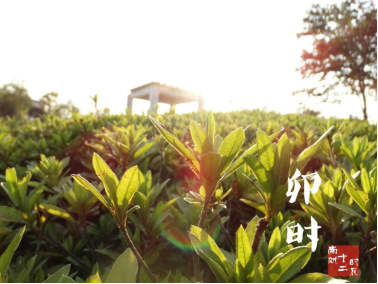 pg电子试玩